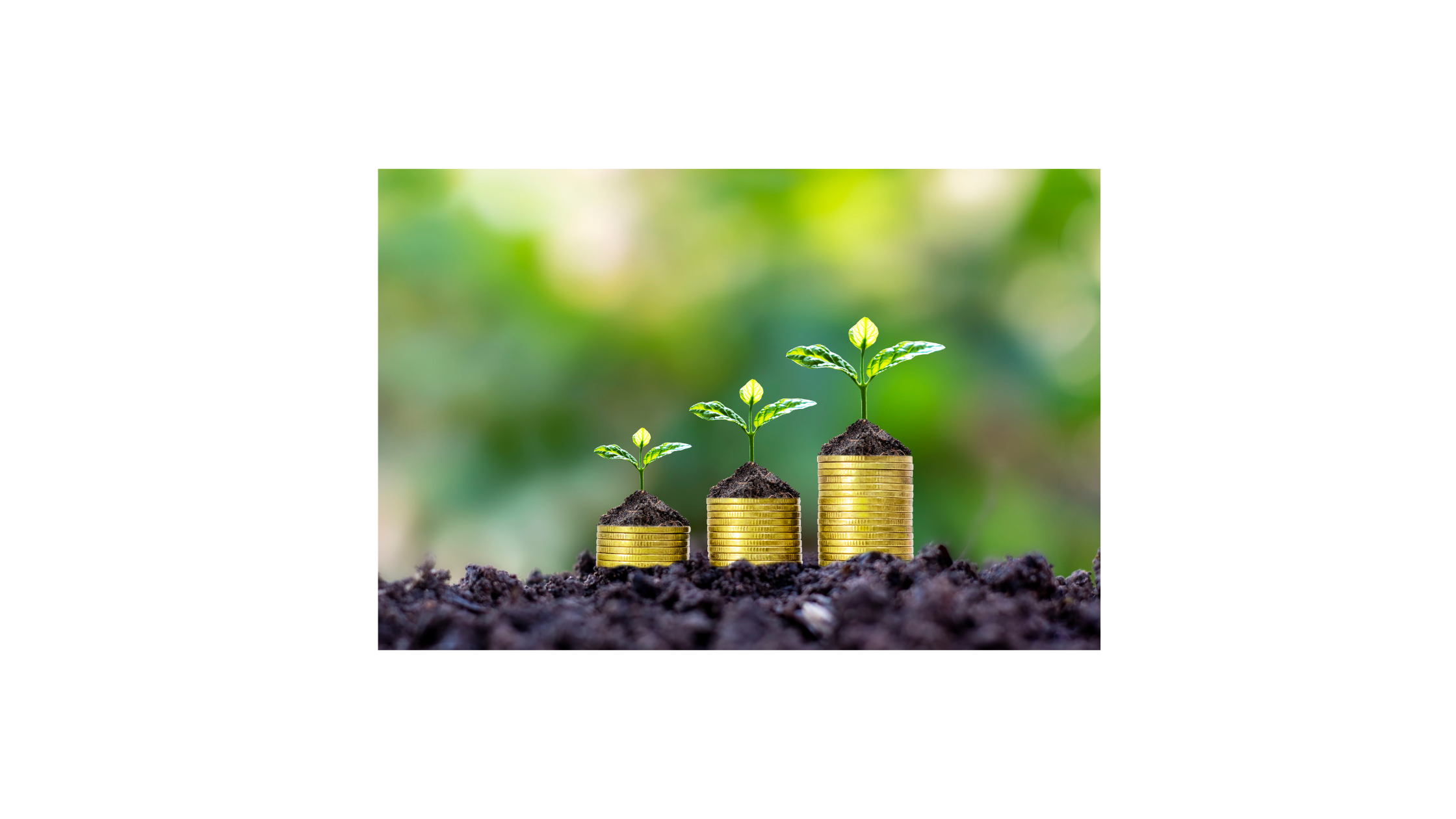 Top Mutual Fund Picks for High Returns in 2025